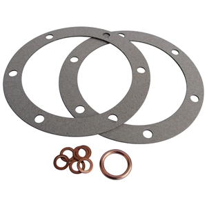 1781 Oil Drain Plate Gasket and Washer Kit (113-198-031)