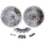 2174 Deluxe 12 Volt Light Bulb Kit with H4 Halogen Lamps