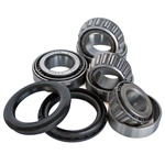 4291 Replacement Bearing and Seal Installation Kit (for 4202 kit)