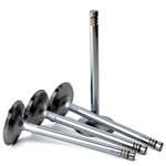 Ultra Stainless Steel Valves (Each) (specify size)